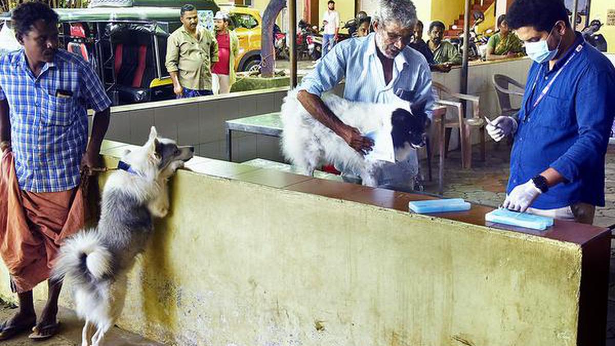 September to be rabies prevention month: CM Pinarayi Vijayan