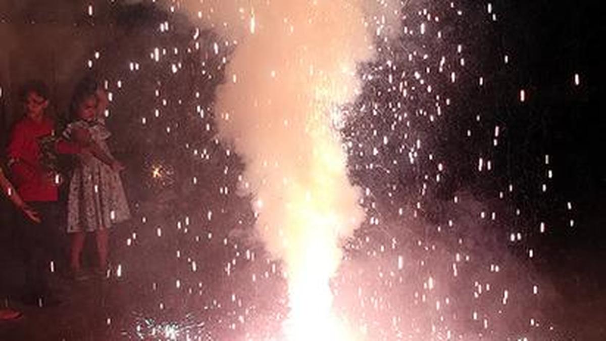 Ban on firecrackers to return; allow green crackers, says BJP The Hindu