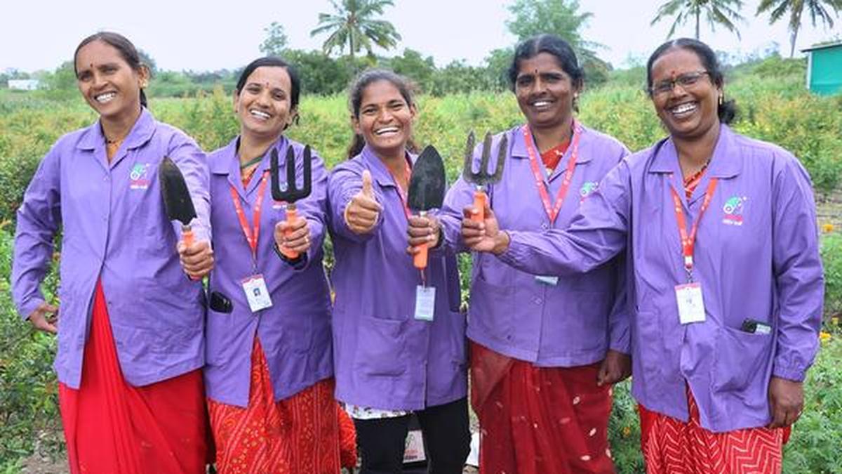 These 'Soil Sakhis' in Maharashtra's drought prone region are bringing  about a quiet revolution - The Hindu