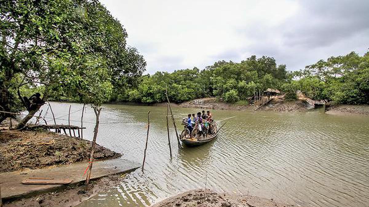 Centre proposes eco-sensitive zone for villages on fringes of Bhitarkanika National Park in Odisha