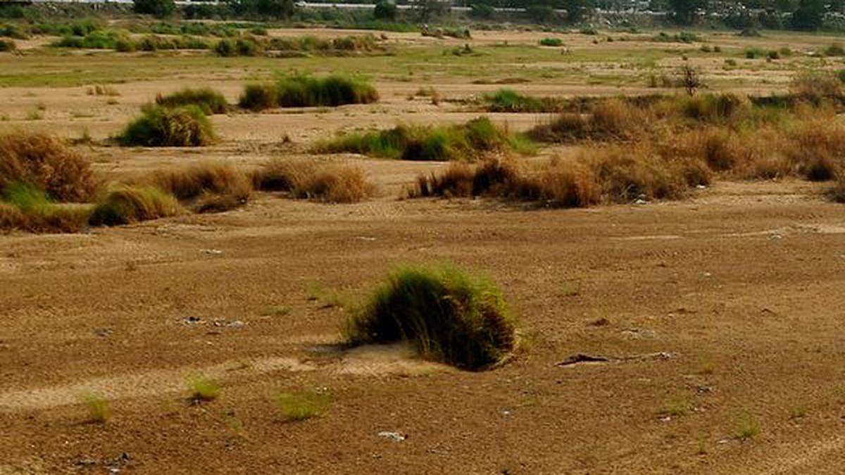 'Drought in Tamil Nadu mostly man-made’ - The Hindu