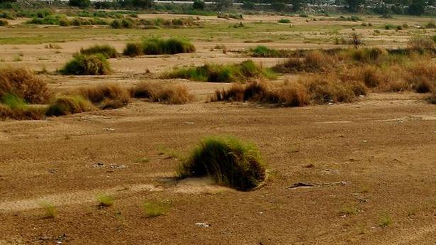 drought-in-tamil-nadu-mostly-man-made-the-hindu