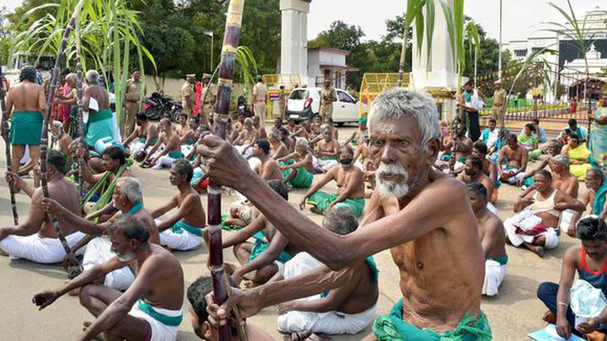 AIADMK to protest against omission of sugarcane in Pongal gift hamper in Tiruvannamalai on Jan. 2