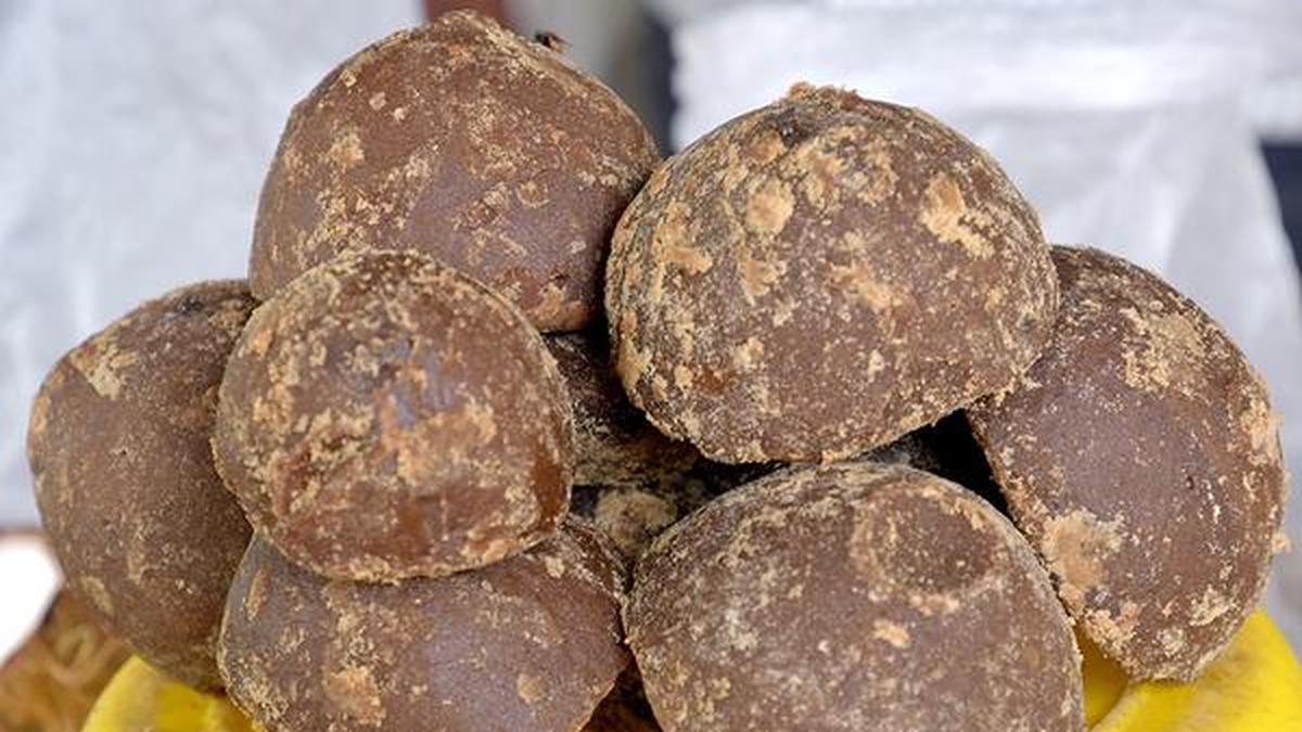 Udangudi Panangarupatti gets GI tag