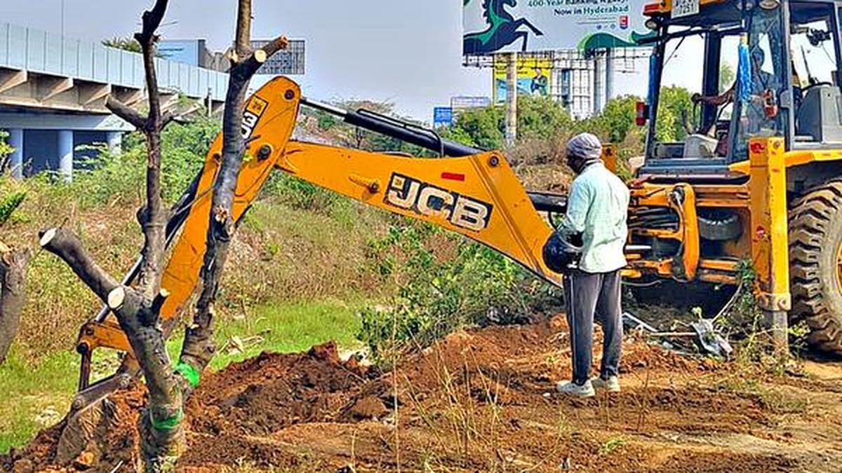 Hyderabad environmentalists question legality and purpose of Tree Protection Committee