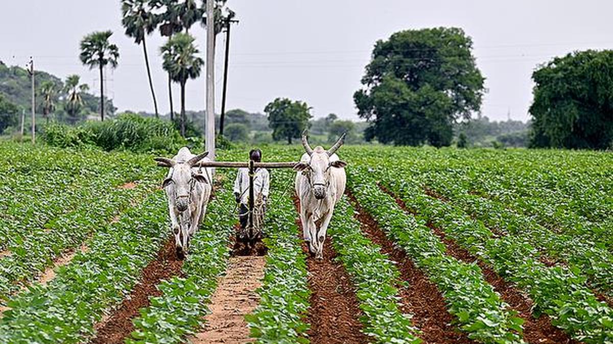 ADB retains India's growth forecast at 7%; govt spending, agriculture to boost economy