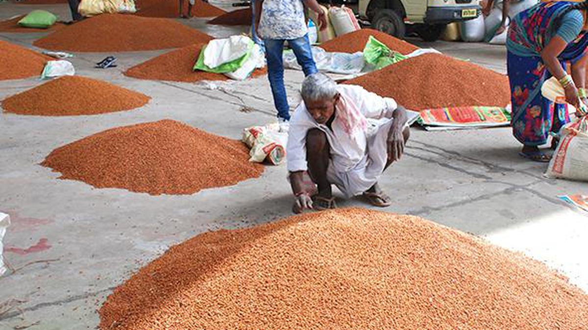 Blockchain technology to mark out freshly-minted GI tag for Tandur tur dal