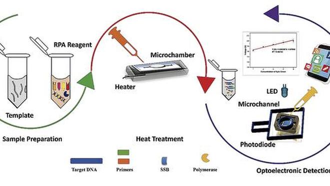 BITSPilani-Hyderabad-researchers-new-device-can-detect-dangerous-bacteria-in-just-15-minutes