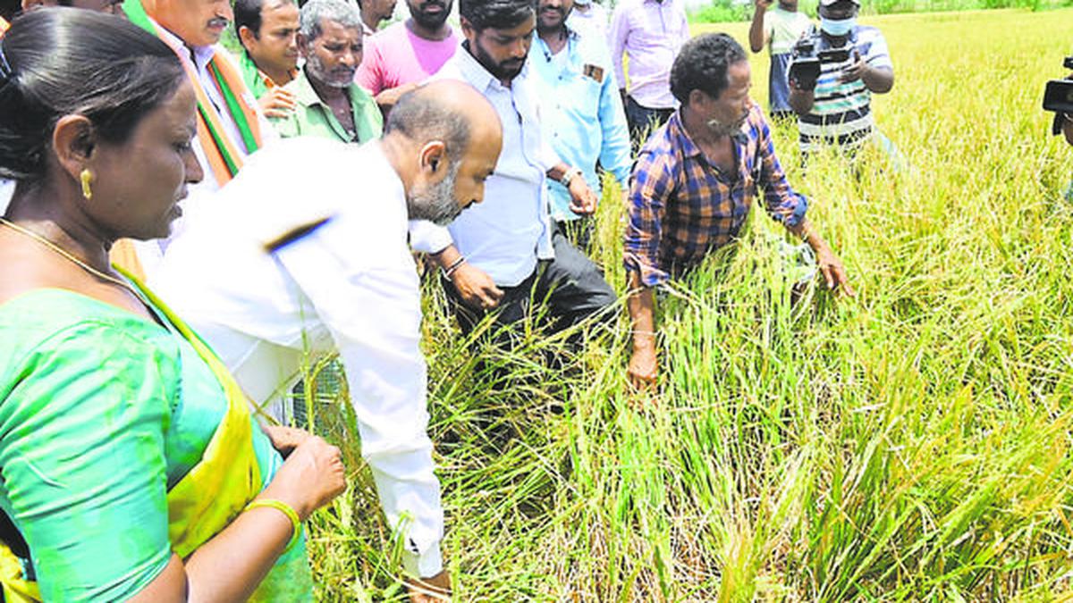 Help farmers who suffered heavy crop losses: Bandi Sanjay Kumar