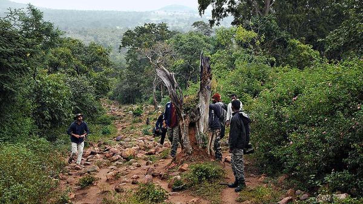 Telangana to deploy AI based system for surveillance operations in Amrabad tiger reserve