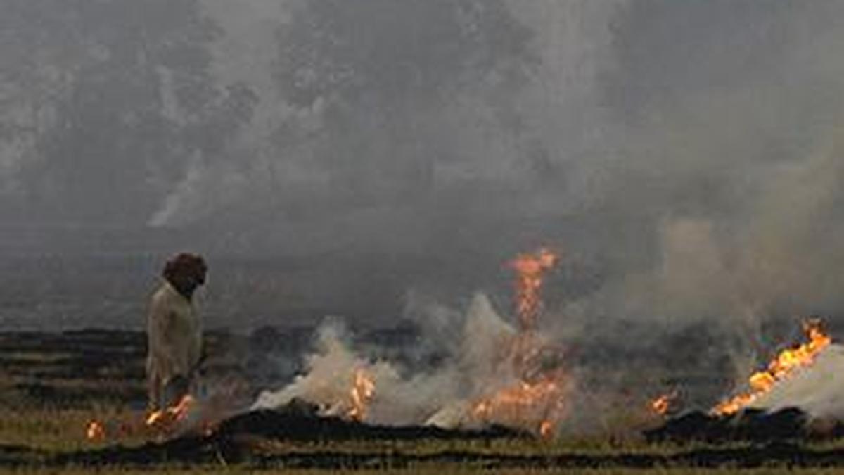 Why India’s farm fire counting method is disputed