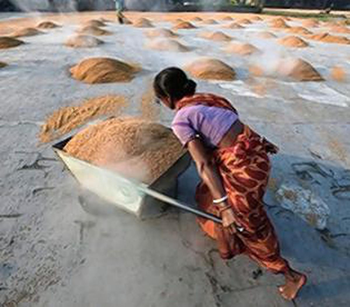 Parboiled idli rice exports take a hit 