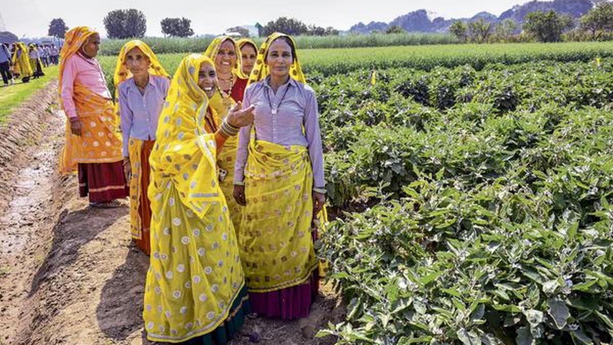 Significant gains in women education, digital access, and economic agency but social constraints persist, NFHS-6 finds