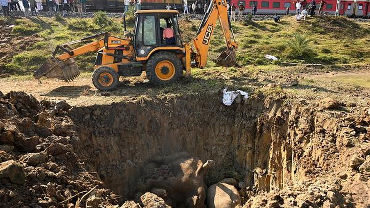 Centre seeks report on death of elephants on railway tracks in Assam's Hojai: Bhupender Yadav