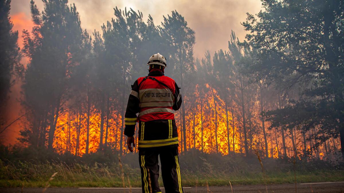 Watch | What’s causing wildfires across the Mediterranean region?