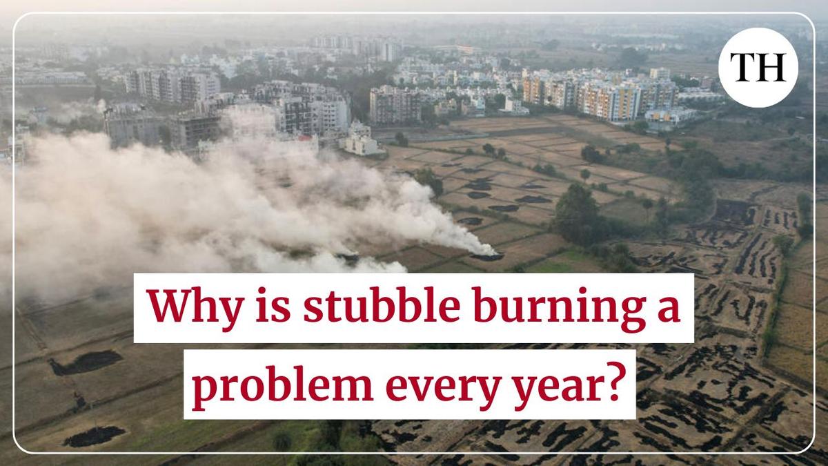 Watch: Why is stubble burning a problem every year? 