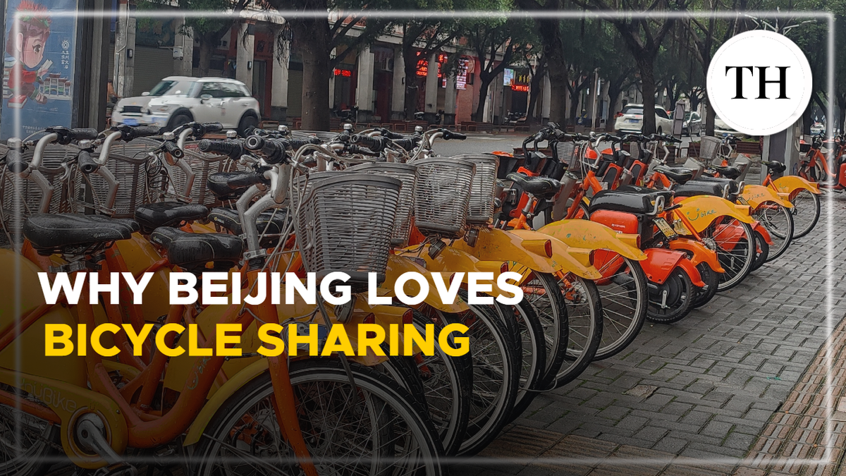 Why Beijing loves bicycle sharing: Watch Video thumb%202