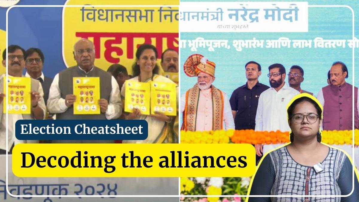 Watch Maharashtra Assembly election 2024 Decoding the alliance