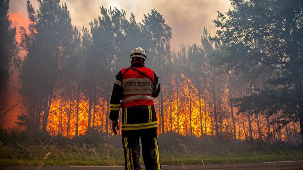 Watch | What’s causing wildfires across the Mediterranean region?